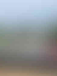 futuro pizza location