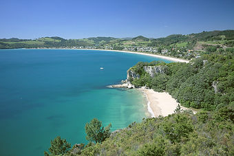 Coastal Scenic View