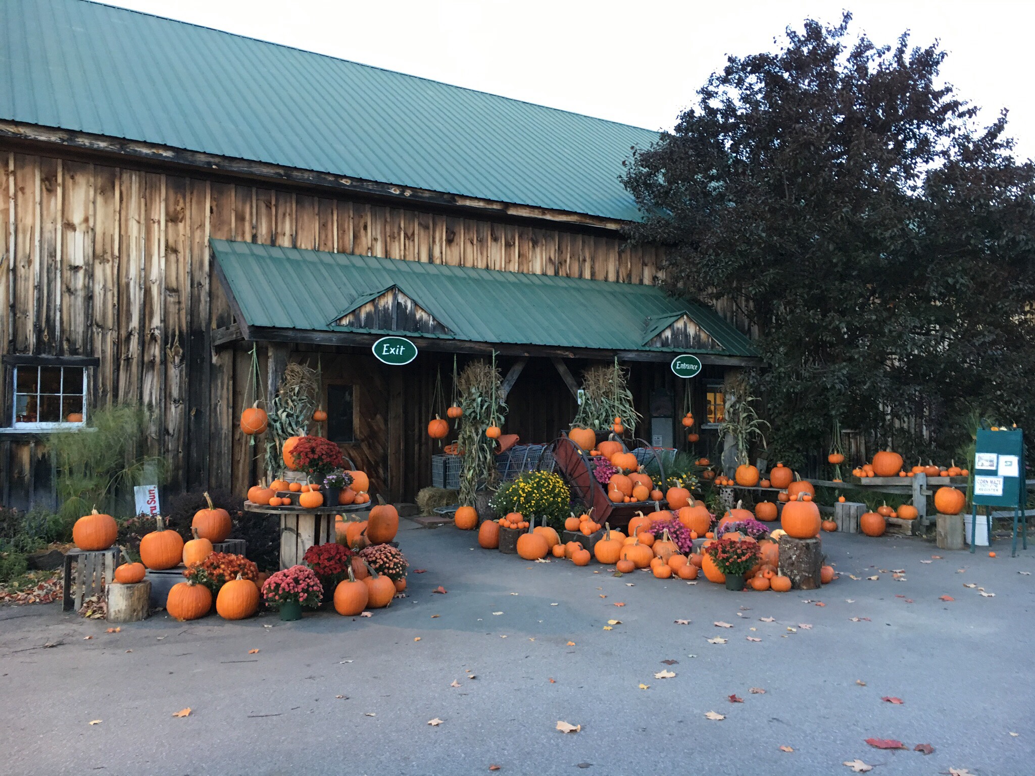 Beans & Greens Farm Our Farm