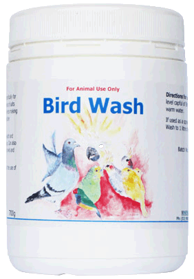 Bird_Wash - Copy.gif