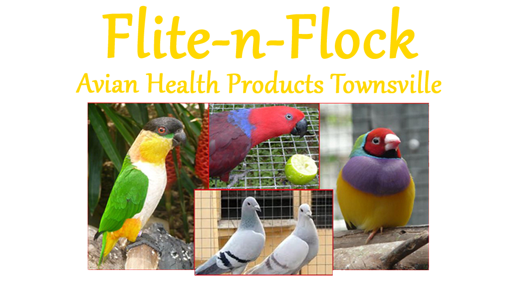 www.fliteavianhealth.com