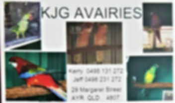 photo0 (2).jpeg
