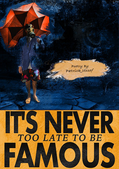 It's Never Too Late To Be Famous writen by Patrick József