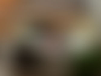 きょう、サンクやってます。