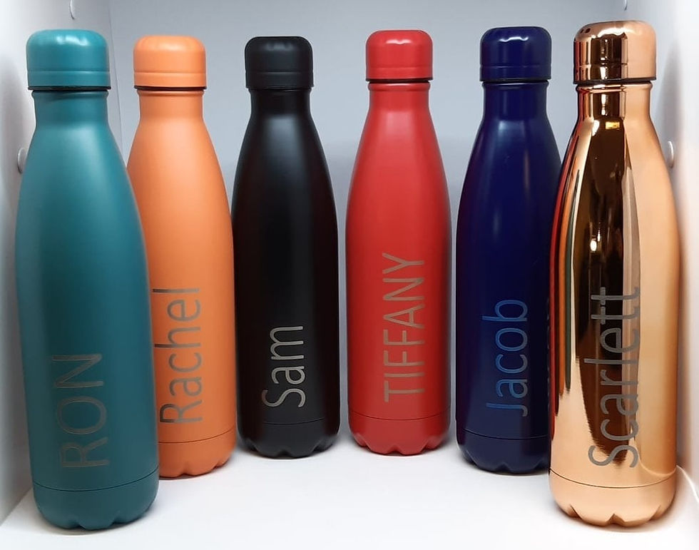 Stainless Steel Bottles
