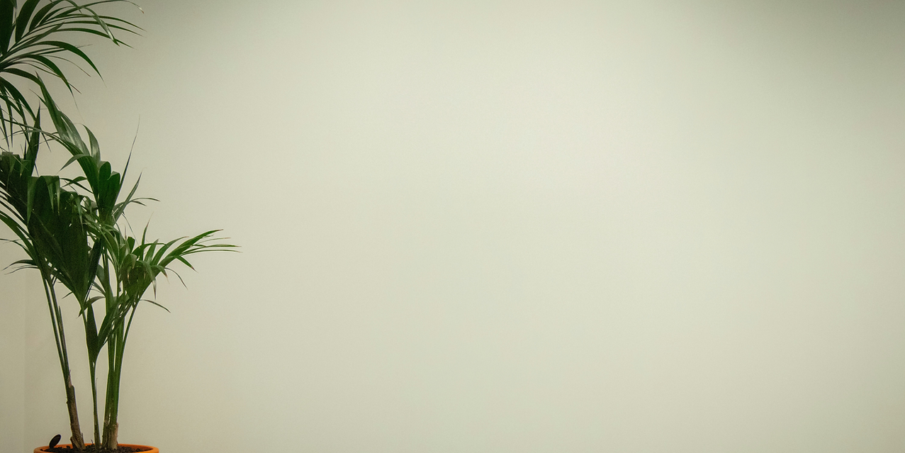 Plant sage background pic.png