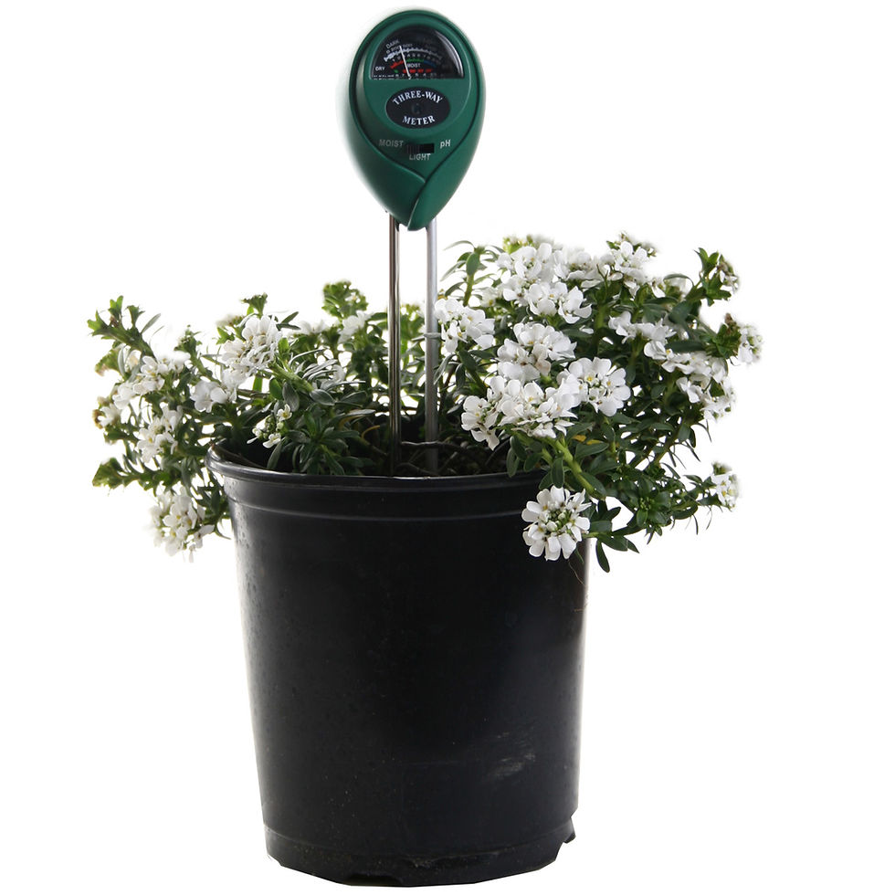 Thumbnail: 3-In-1 Soil Meter, Light, Moisture, pH