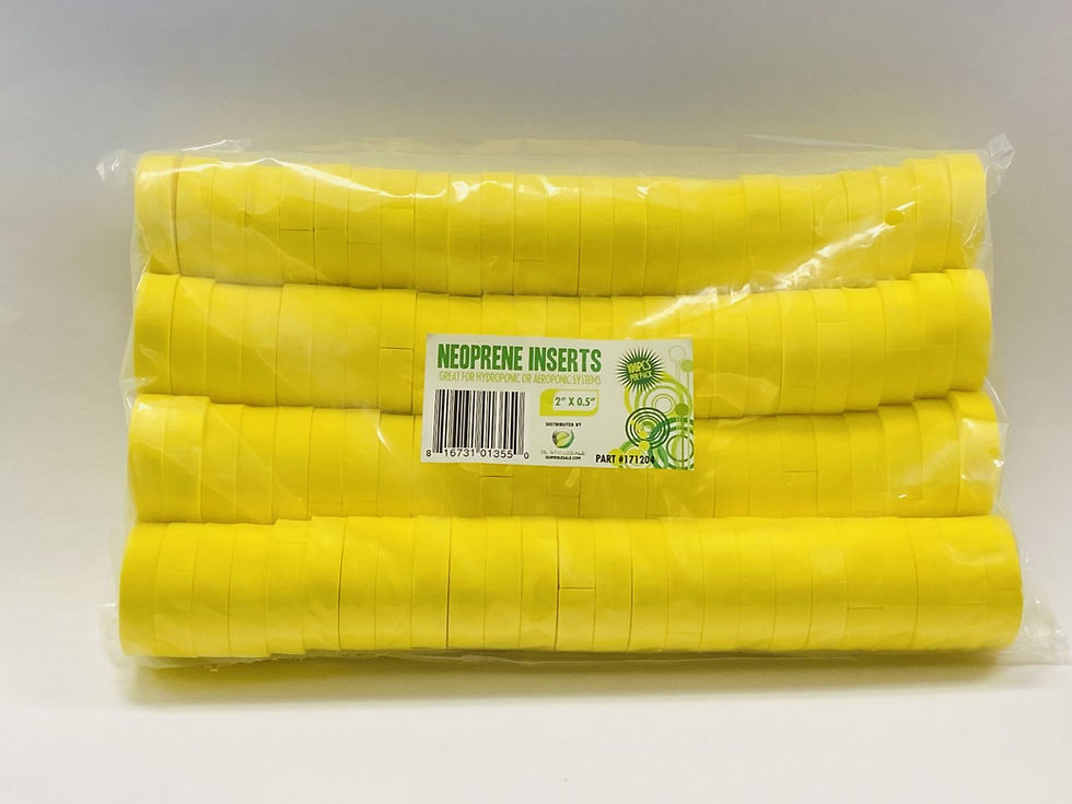 Thumbnail: Neoprene Inserts 100pc