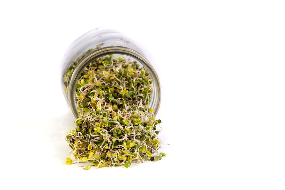 Thumbnail: Mumm's Sprouting Seeds - Broccoli 125G