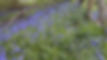 DSCN0377.JPG