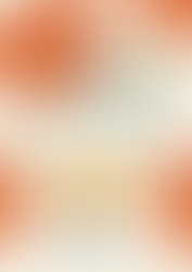 Spectacle Music O Baou - Edition N°2