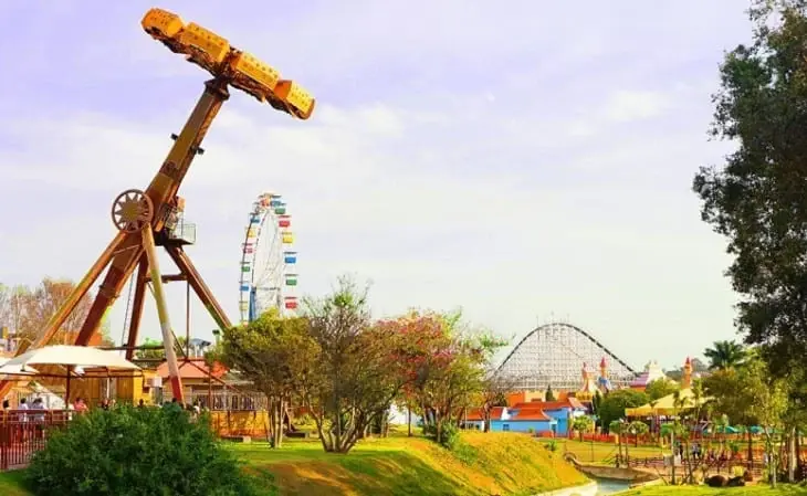 Hopi Hari - Vineyard