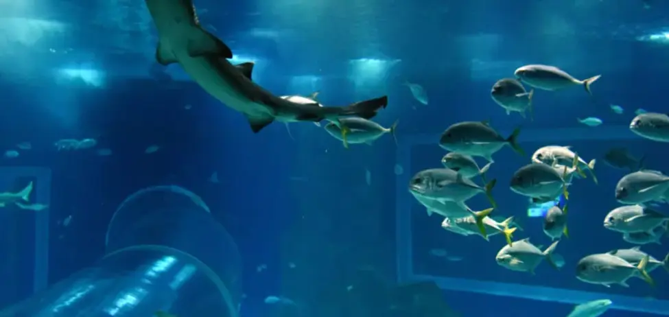 Sao Paulo Aquarium