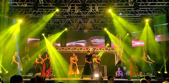 Transporte executivo para shows e eventos em São Paulo com frota premium e motoristas profissionais.