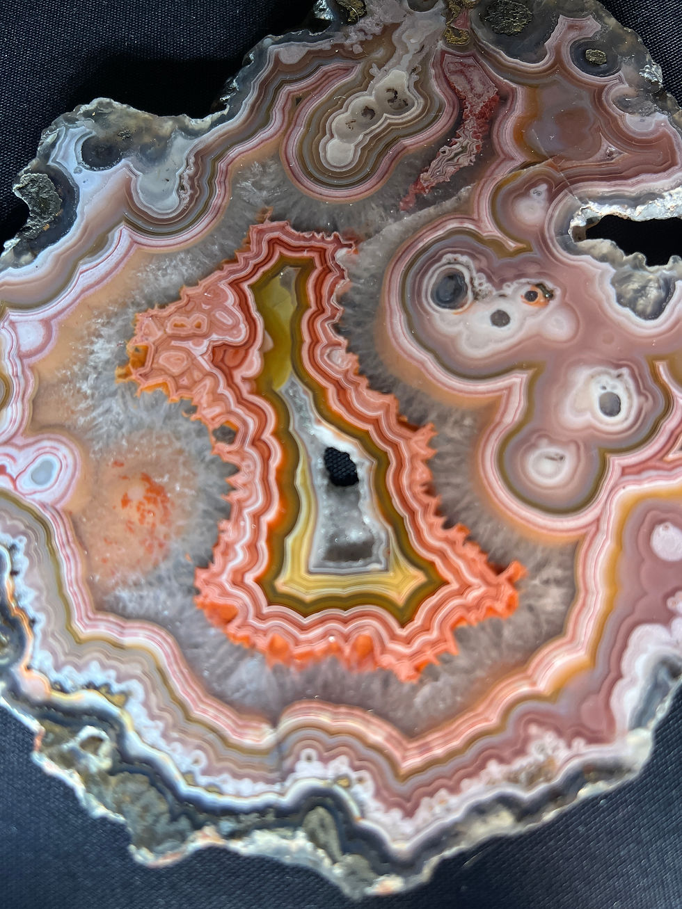 ree