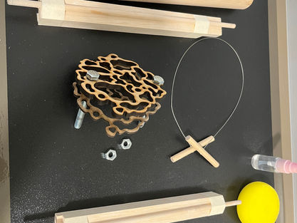 Object to Object 28 - Mold Experiment