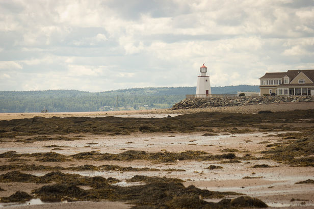 Distance lighthouse overlooks a beach while the tide is out.