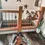 Thumbnail: Texas Dandy Horseshoe Western Rug