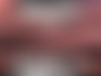 BLACK FRIDAY OFFER 2024