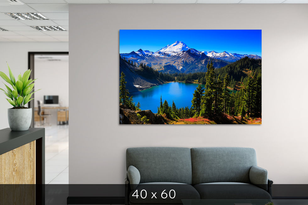 Mount Baker Behind Iceberg Lake in Office Lobby
