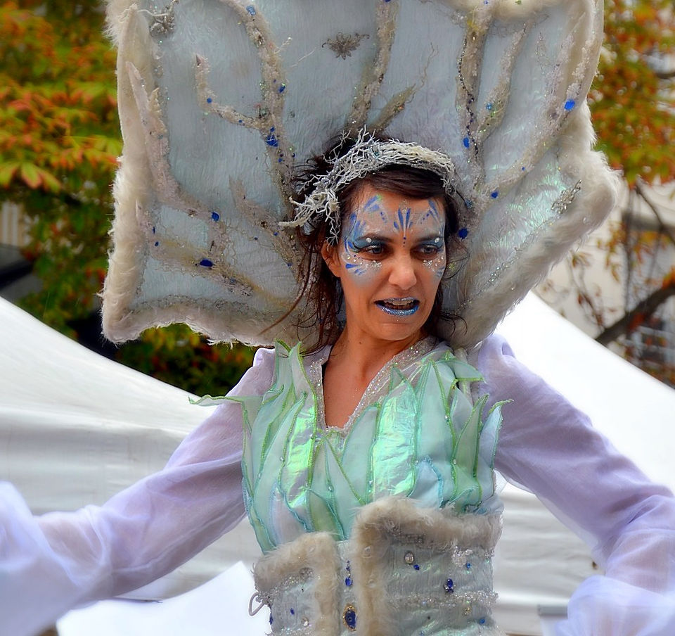la reine de l'hiver échassière