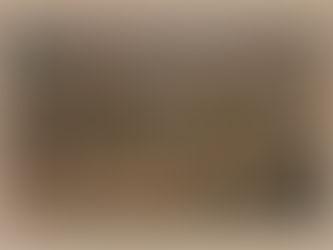 NOUVEAUX COSTUMES LUMINEUX EN PREPERATION . les quatre saisons échassières lumineuses se préparent à l'atelier...