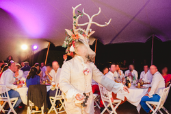 Le ballet du Cerf