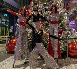 échassiers disco night fever_edited