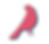 pink bird.png