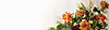 image - 2025-03-29T192754.943.png