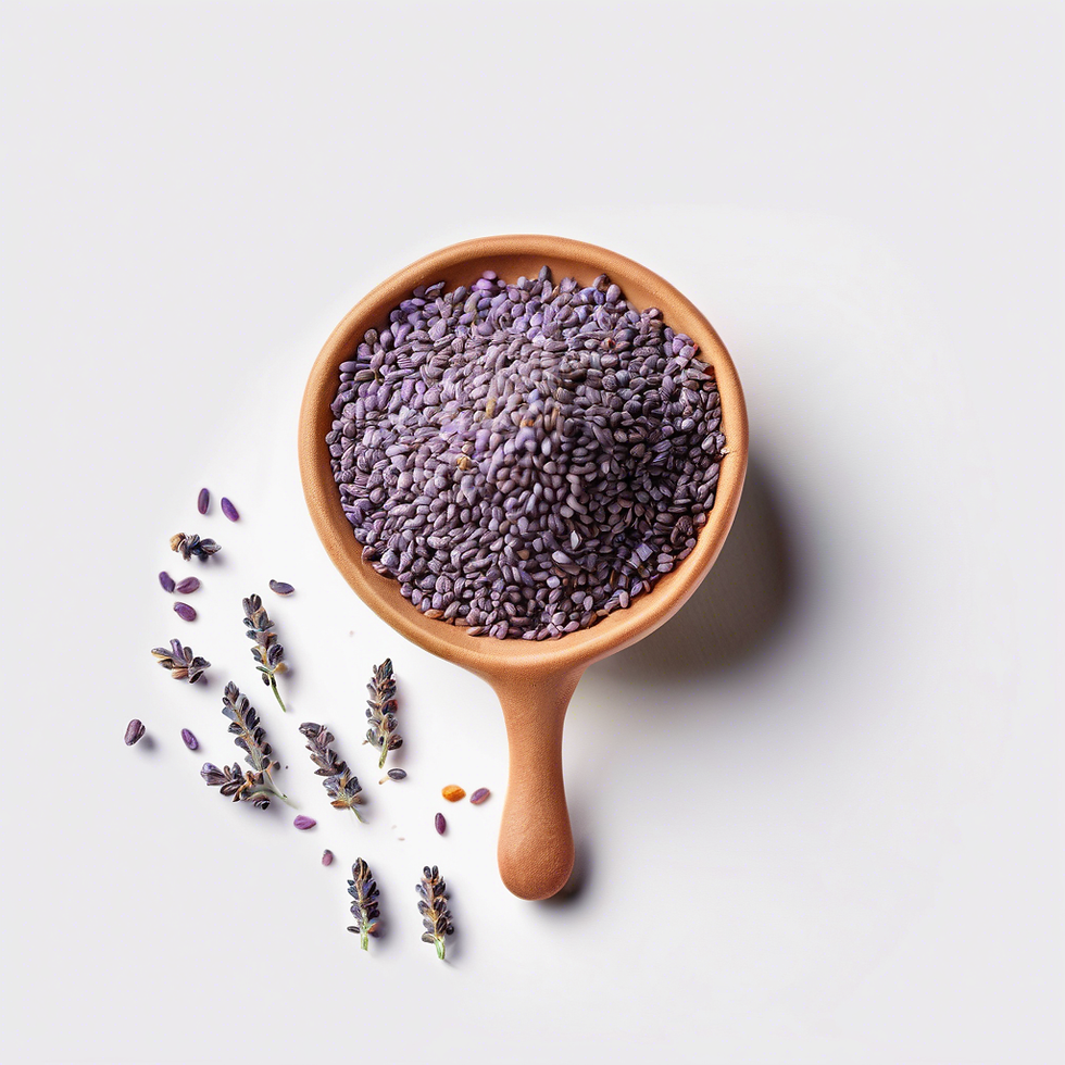 Fragrant Lavender Seeds