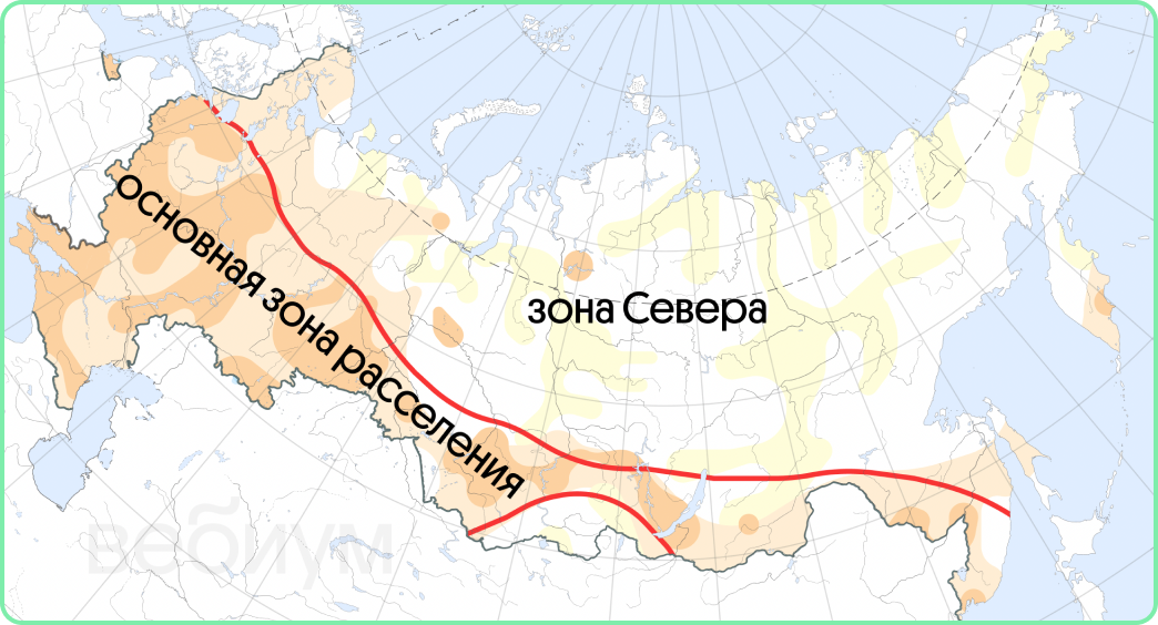 Зона Севера России