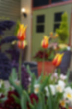 Spring Containers