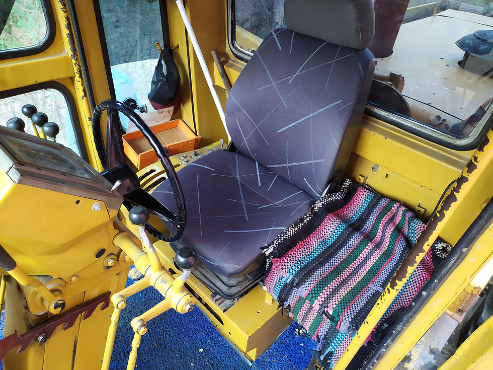 Thumbnail: Cat Greyder 1988