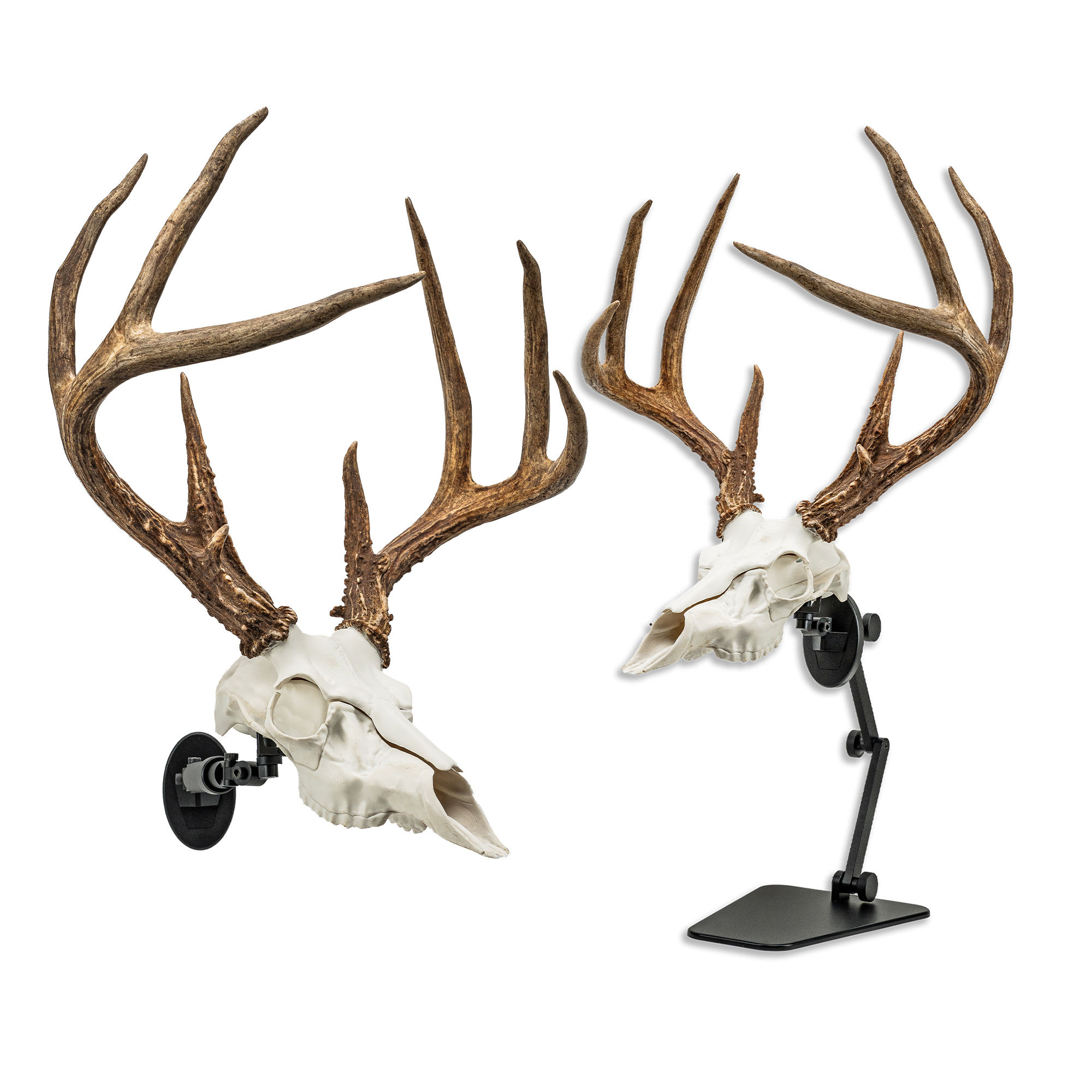 Dual UX1/TX1 Euro Mounting System