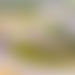 Turnkey 12,865 sq ft fully leased investment property for sale in Pleasant Valley, WV