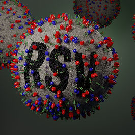 Virus particle
