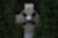 adrian-moran-CO10tWyhSJE-unsplash celtic cross.jpg