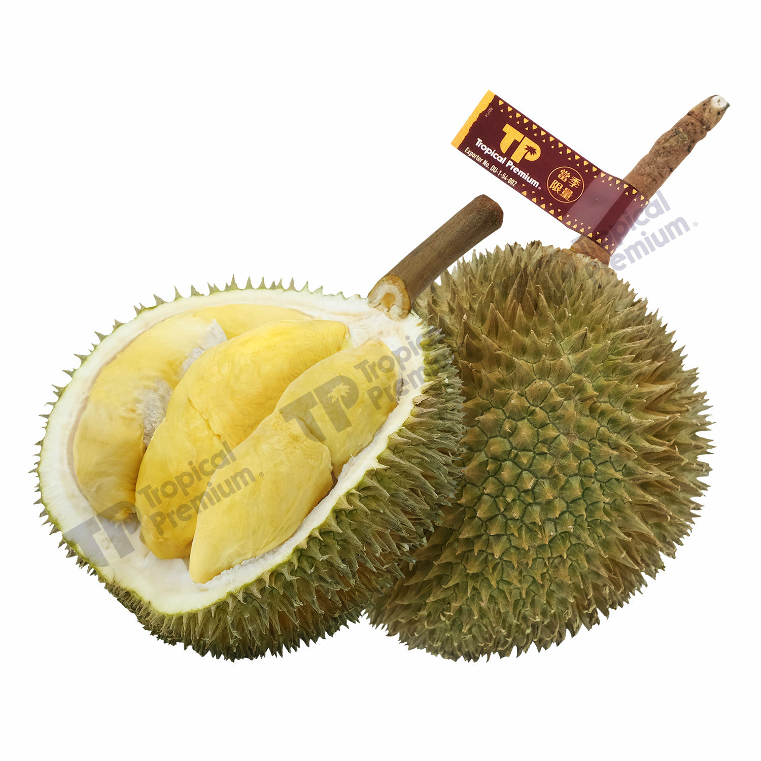 สาลิกา 泰國水玲瓏榴槤