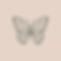 Papillon beige.jpg