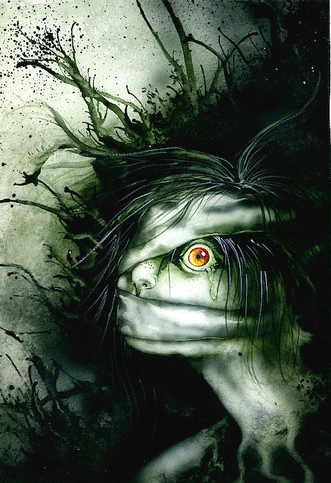 the-forgotten-amanda-kohler