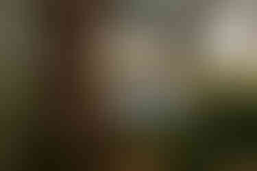 obitelj piknik fotografija