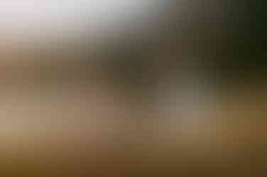 trudnica partner priroda