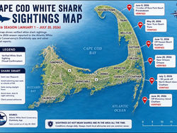 Cape Cod Shark Map