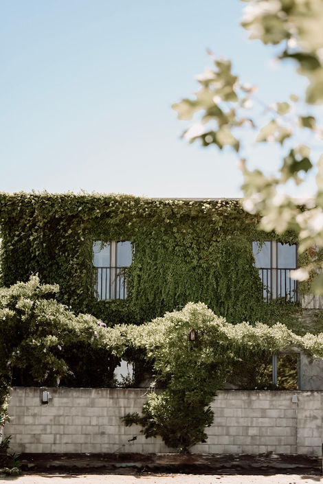 The Estate Collection - II