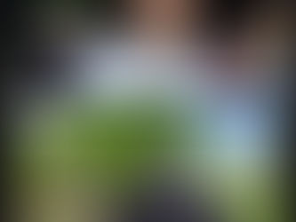 Quem é o AMOSTRADINHO?