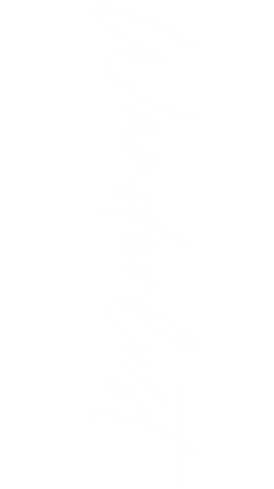 STORY (4).png