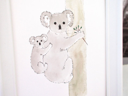 Koala