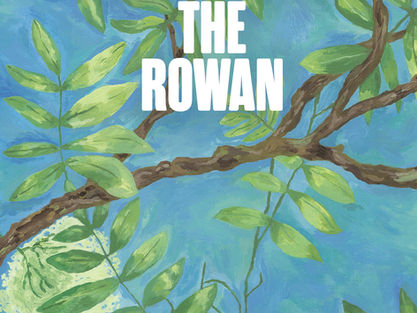 COVER REVEAL: 'Remember the Rowan' is just two weeks away!
