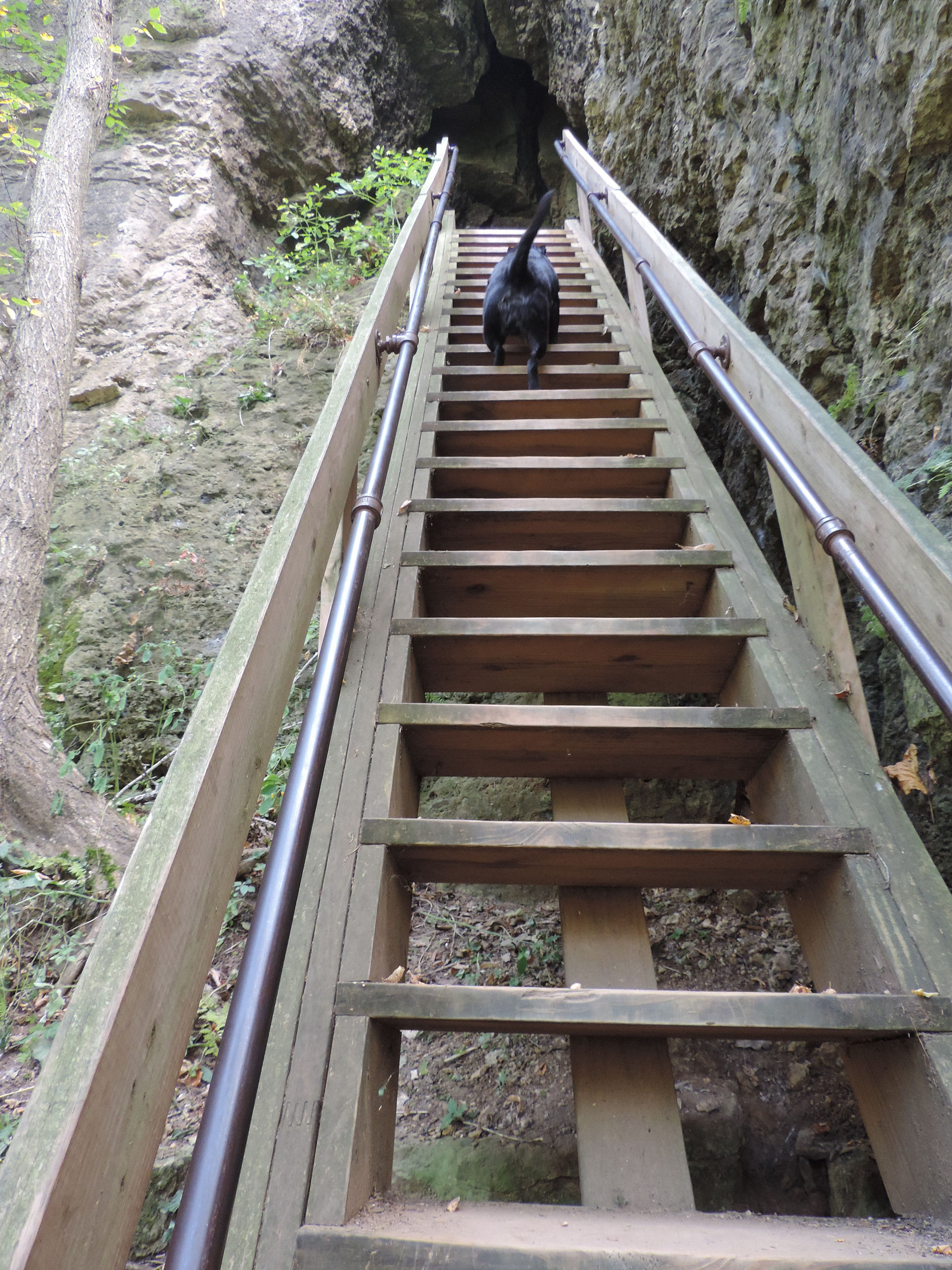 Going up!